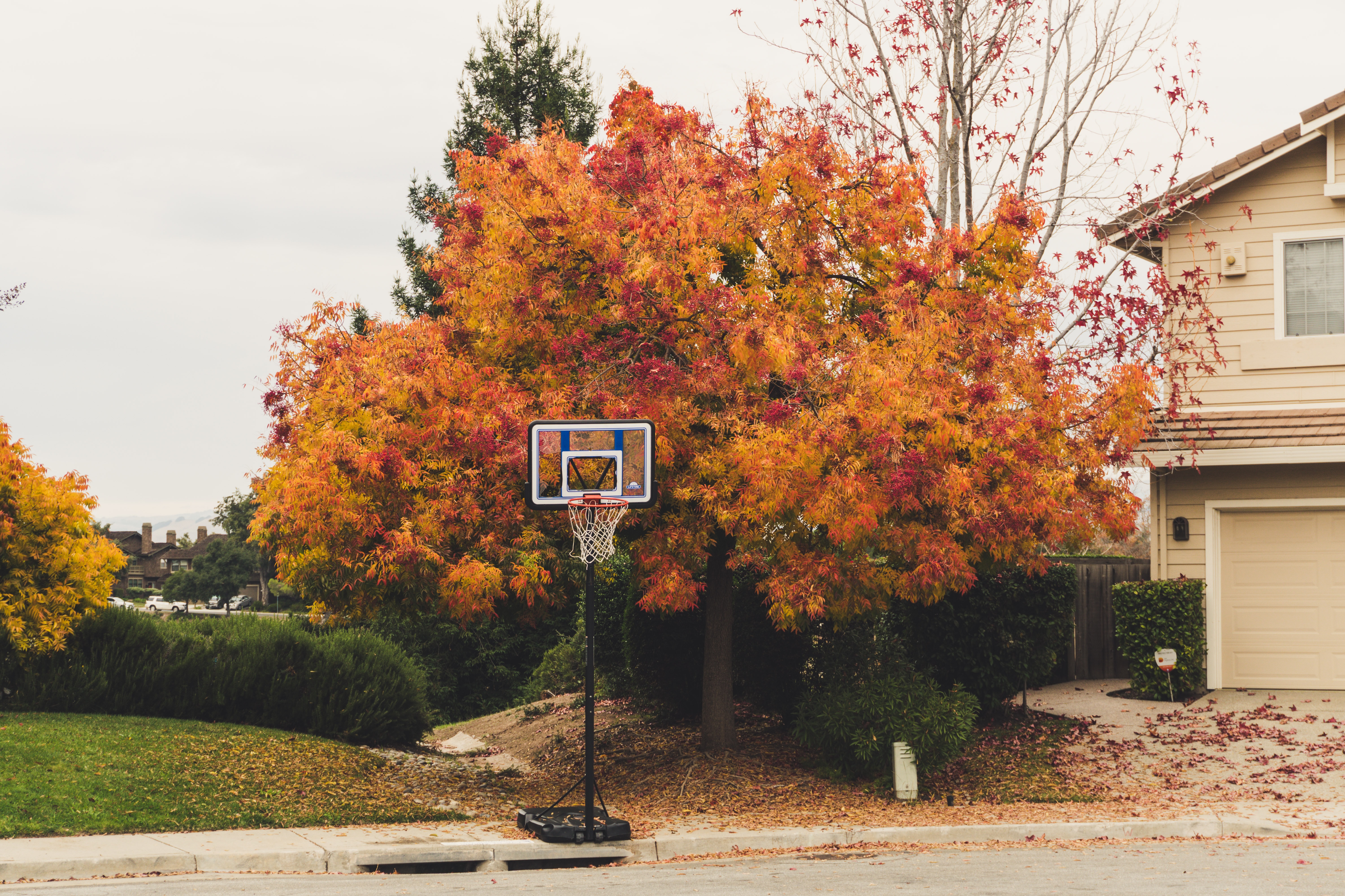 3 Basketball Drills To Do At Home